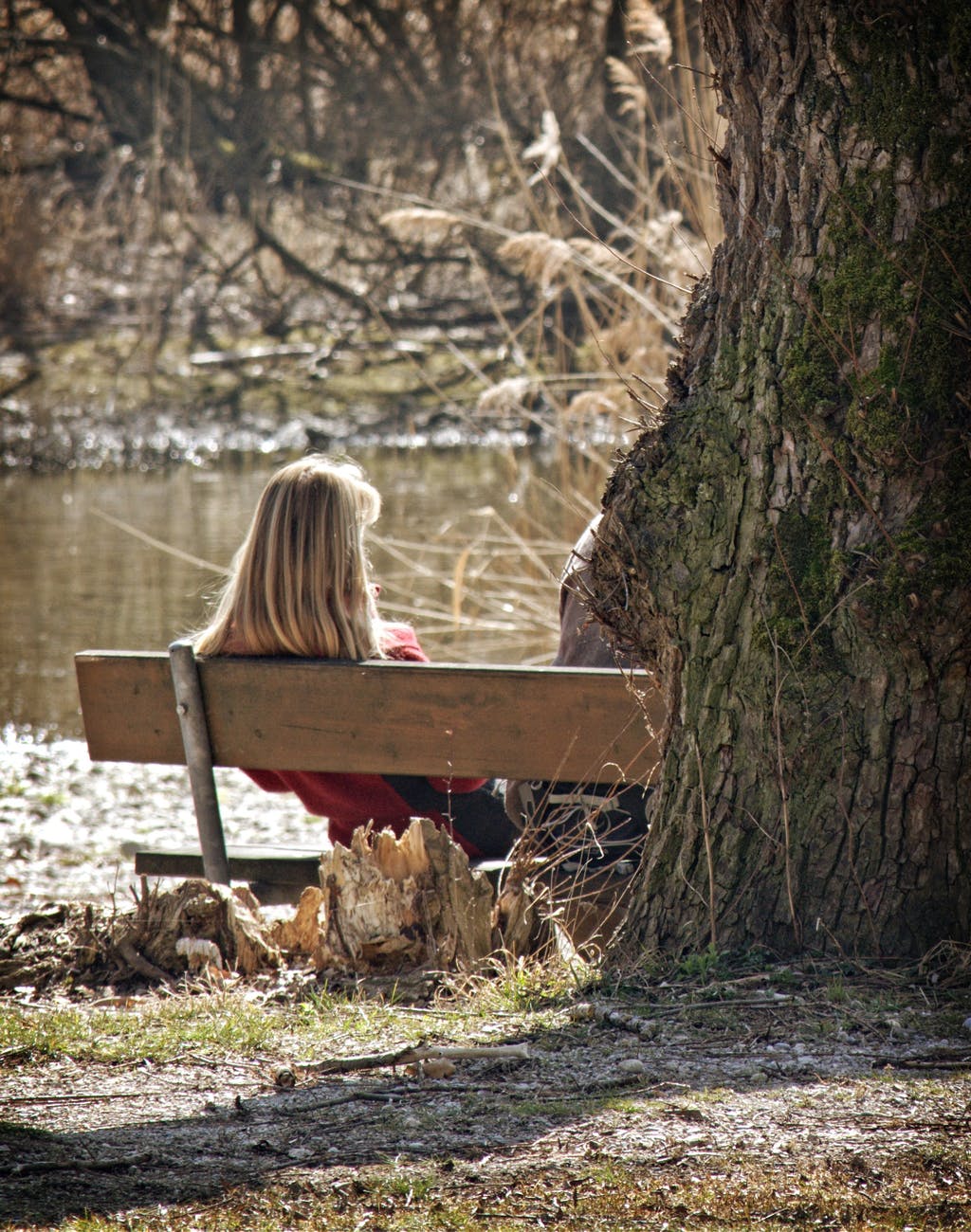 alone bench person river
